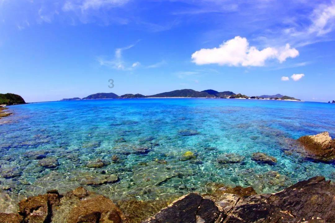 黑枭“教父“-“湾仔之虎“陈耀兴的江湖路